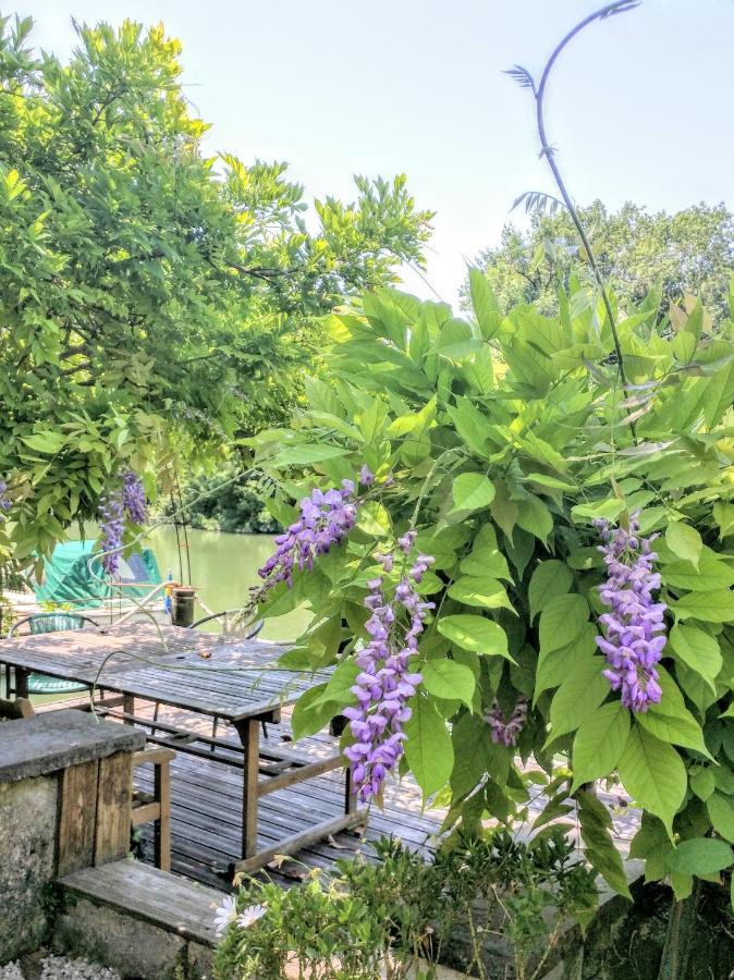 Bed and Breakfast Quai Des Fleurs Saint-Savinien Exterior foto